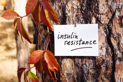 Understanding and Reversing Insulin Resistance Naturally